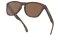 Oakley Frogskins Sonnenbrille Matte Tortoise Prizm Tungsten