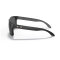 Oakley HOLBROOK Sonnenbrille Matte Black Prizm Black Polarized