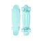 Penny Cruiser 22" Skateboard Staple Mint