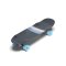 Loaded Bolsa Carver CX C2 Longboard Komplett