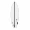 Surfboard TORQ TEC Summer Fish 5.6