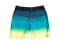 Billabong Boys Boardshort All Day Fade Black