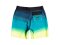 Billabong Boys Boardshort All Day Fade Black