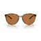 Oakley Sielo Sonnenbrille Polished Brown Tortoise / Prizm Bronze Polar