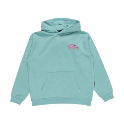 Quiksilver Drybridge Hoodie Kids